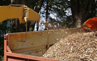 Cleaning-Works-In-The-Park-Debris-removal-min