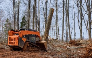 Skid-steer-Loader-Clearing-Tree-min