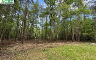 EZ-ACRE-Forestry-Mulching EZ-ACRE-Forestry-Mulching