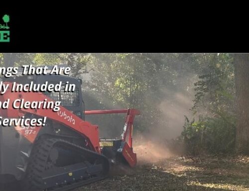 6 Things That Are Usually Included in Land Management Services!