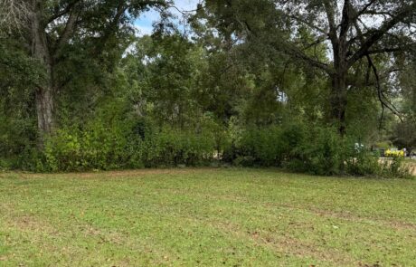 EZ-Acre-Forestry-Mulching