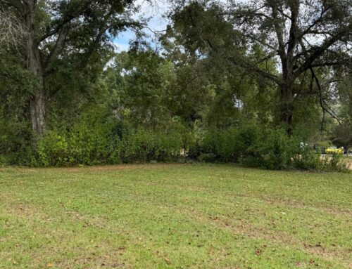 Forestry Mulching, Tallahassee, FL