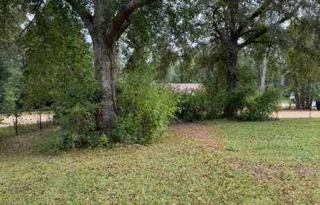 EZ-Acre-Forestry-Mulching