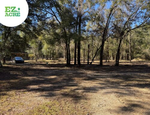 Forestry Mulching, Tallahassee, FL