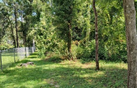 EZ-Acre-Underbrush-Removal