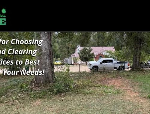 Tips for Choosing Land Management Services to Best Cover Your Needs!