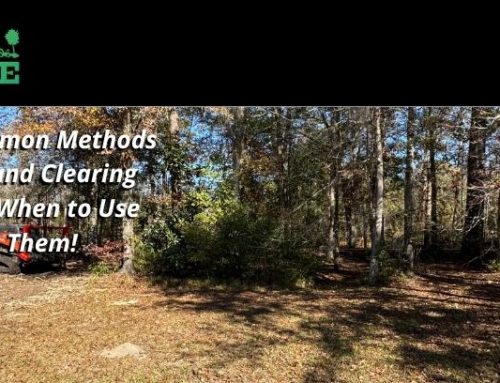 7 Common Methods of Land Management And When to Use Them!