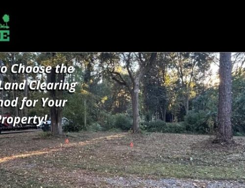 How to Choose the Right Land Management Method for Your Property!