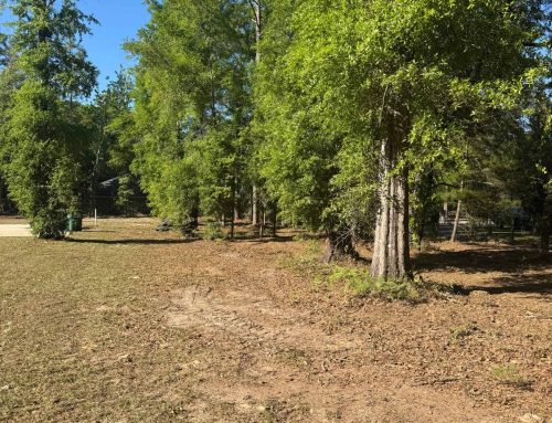 Forestry Mulching, Tallahassee, FL