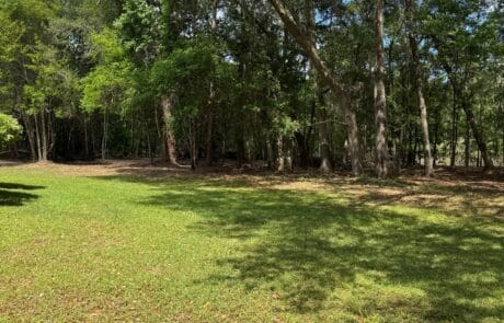Land clearing with forestry mulching services in Tallahassee, FL.