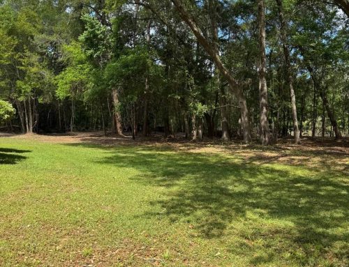 Forestry Mulching, Tallahassee, FL