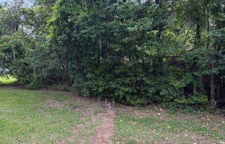 Land clearing services in Tallahassee, FL for property development and maintenance.