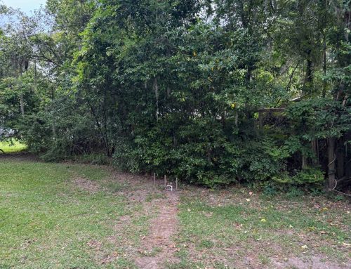 Underbrush Removal, Tallahassee, FL