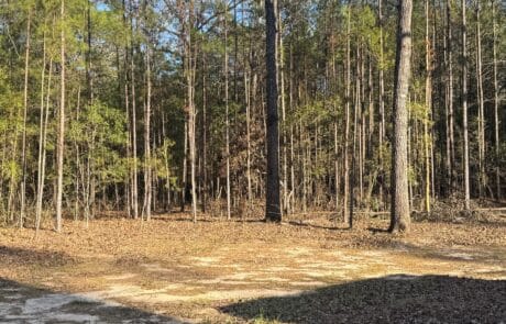 Land clearing services by EZ Acre in Tallahassee, FL, preparing land for development.