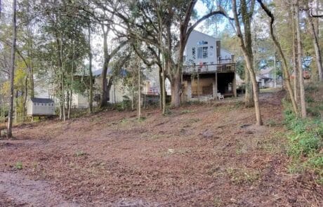 Underbrush clearing service in Tallahassee, Florida, showcasing a cleared land area with trees and m.