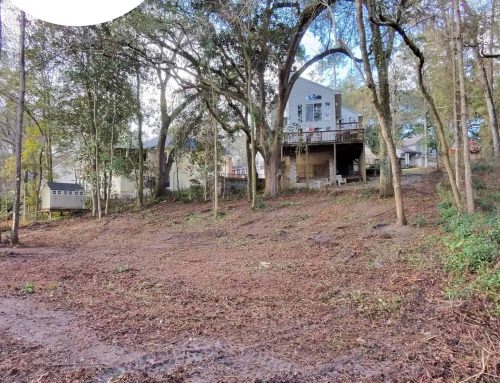 Underbrush Removal, Tallahassee, FL