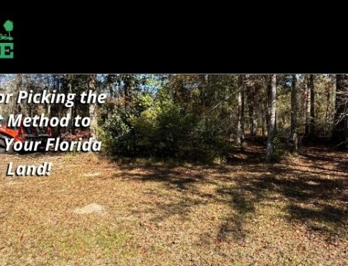 Tips for Picking the Best Method to Clear Your Florida Land!
