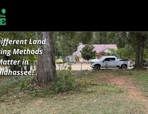 Why Different Land Management Methods Matter in Tallahassee!