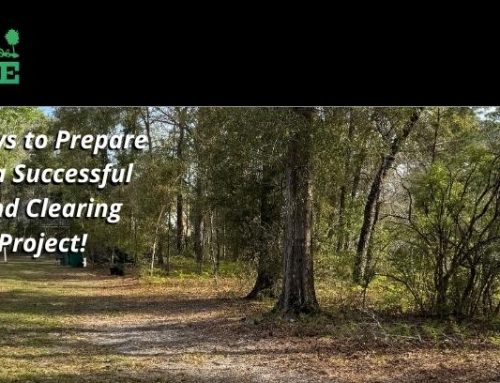 5 Ways to Prepare for a Successful Land Management Project!