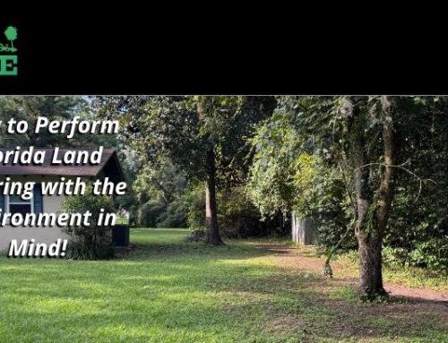 How to Perform Florida Land Management with the Environment in Mind!