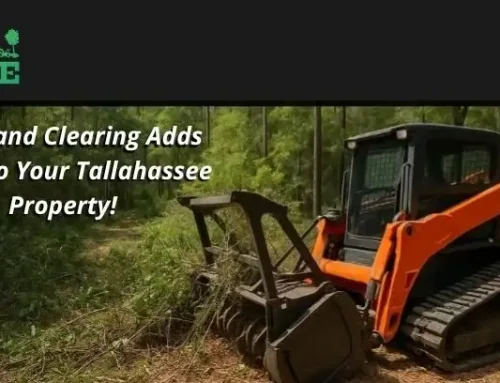 How Land Management to Adds Value to Your Tallahassee Property!