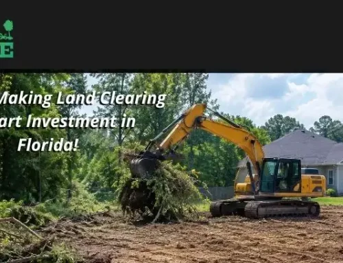 Tips for Making Land Management a Smart Investment in Florida!