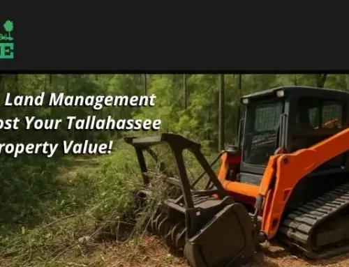 4 Ways Land Management Can Boost Your Tallahassee Property Value!