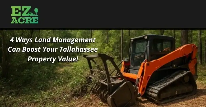 Compact orange and black bulldozer clearing land in Tallahassee for property improvement.